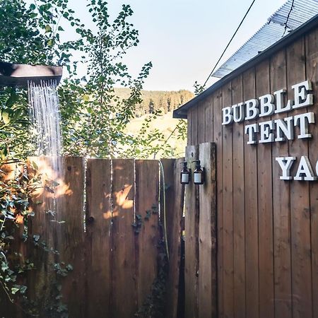 Living Timeless- Bubble Tent Elzach- Schlafen Unterm Sternenhimmel Zewnętrze zdjęcie