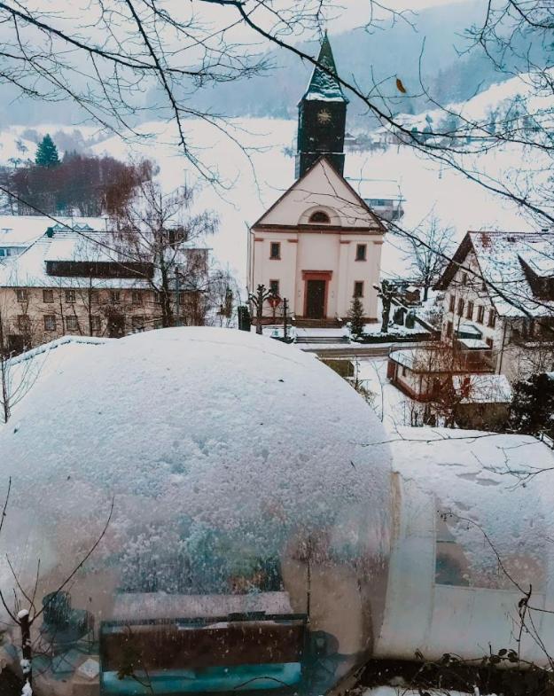 Living Timeless- Bubble Tent Elzach- Schlafen Unterm Sternenhimmel Zewnętrze zdjęcie